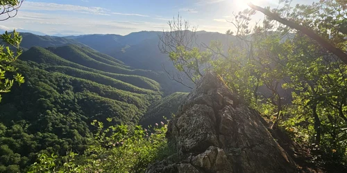 Cetatea dacică Piatra Roșie Foto Daniel Guță ADEVĂRUL (16) jpg