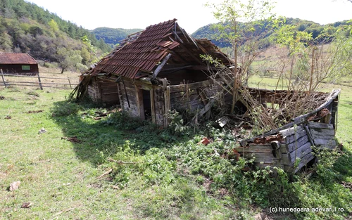 Ponorici Munții Șureanu Foto Daniel Guță ADEVĂRUL (16) JPG