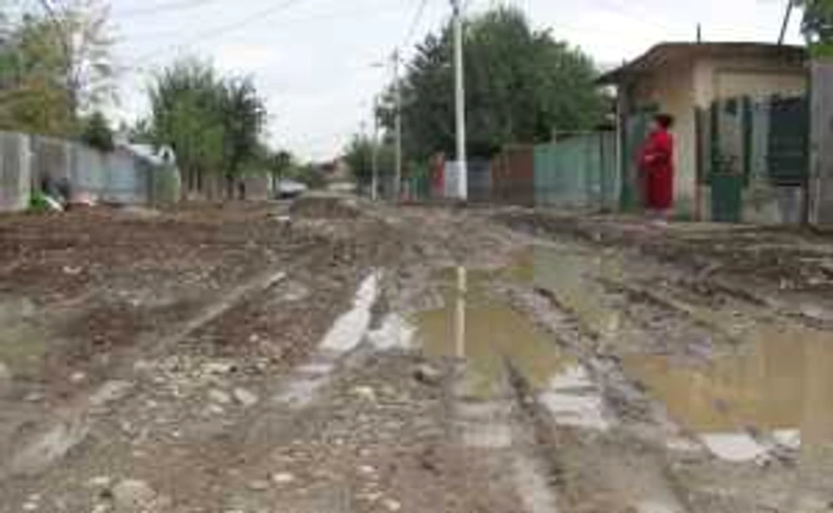 După două zile de ploaie, străzile din Bereasca mai puteau fi străbătute doar cu cizme de cauciuc (foto: Codruţa Horja)