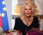 Regina Camilla și Regele Charles la dineul de stat de la Palatul Versailles  Foto Getty 