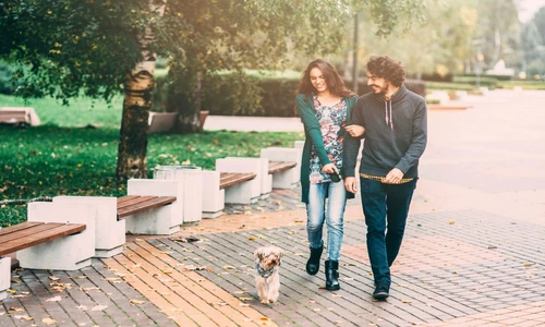 1 77948 original jpg jpeg