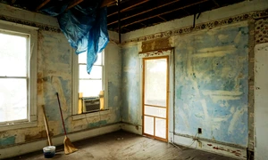 pexels monica 3562689 jpg