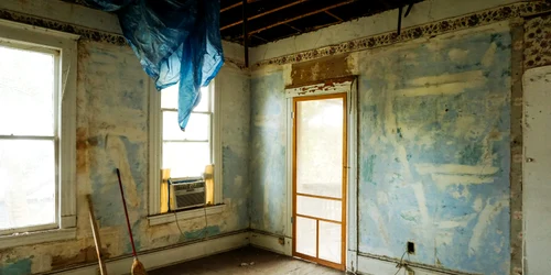 pexels monica 3562689 jpg