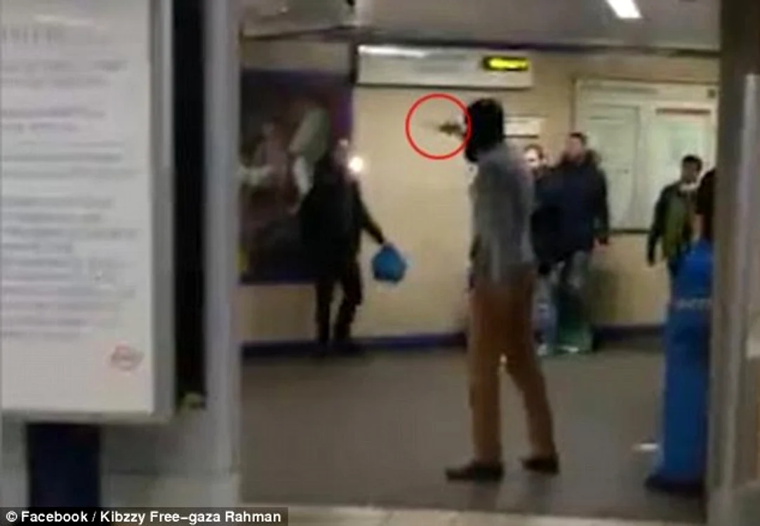 Un bărbat a atacat mai mulţi oameni într-o staţie de metrou din LondraFoto: dailymail.co.uk