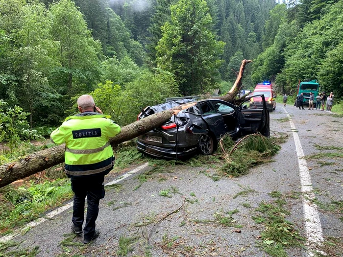 Autoturismul a fost strivit de greutatea arborelui FOTO ISU Alba
