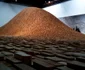 maya lin