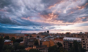 Ritmuri de îmblînzit aricioaica jpeg