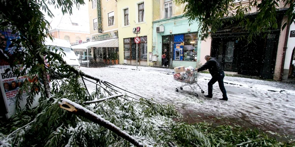 1 octombrie 2013 a nins la Brasov iarna zapada ninsoare FOTO Mediafax