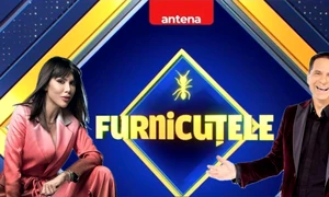 furnicutele denise rifai jpeg