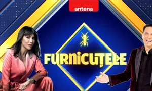 furnicutele denise rifai jpeg