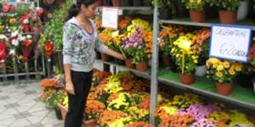 Bacău: Băcăuanii îşi decorează casele cu flori de toamnă