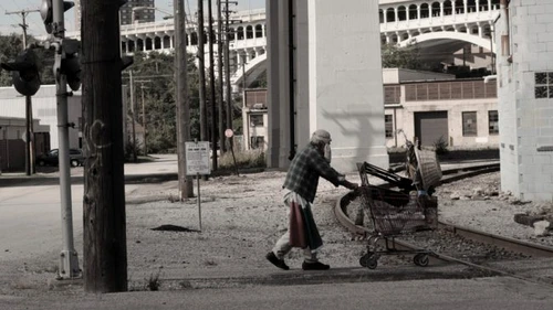 Foto Flickr