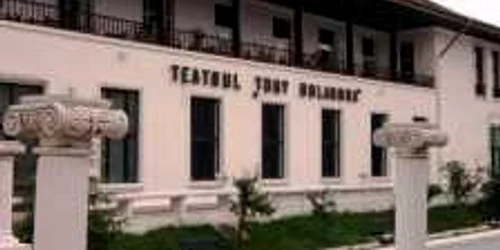 Teatrul Tony Bulandra