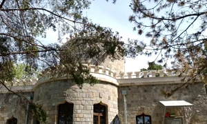 castel hasdeu jpg