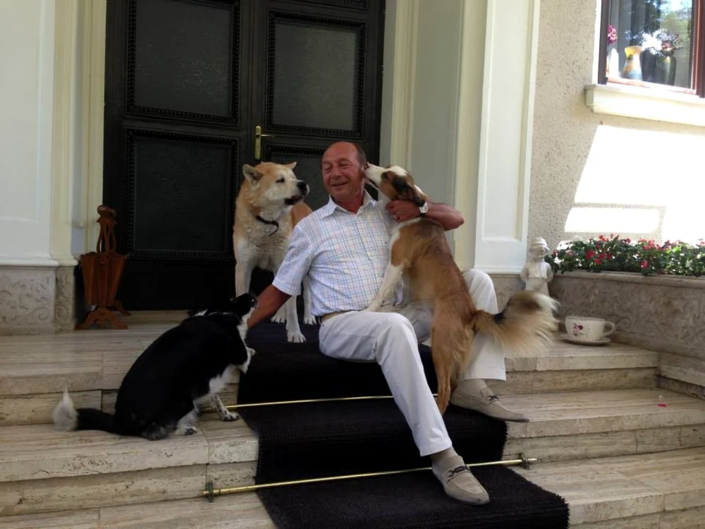 Preşedintele Traian Băsescu s-a fotografiat cu maidanezii adoptaţi FOTO presidency.ro