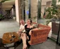 S-au cazat la un resort de cinci stele din Bulgaria 