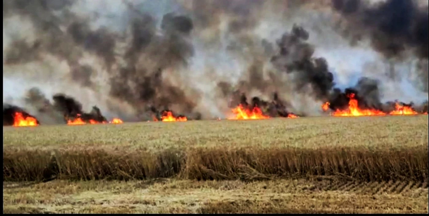 Focul a cuprins 150 de hectare de cultură cu grâu FOTO ISU Ialomiţa