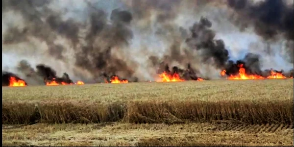slobozia incendiu pe camp FOTO ISU Ialomita