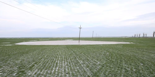 baltiri culturi dolj   foto ionelia nuca (1) jpeg