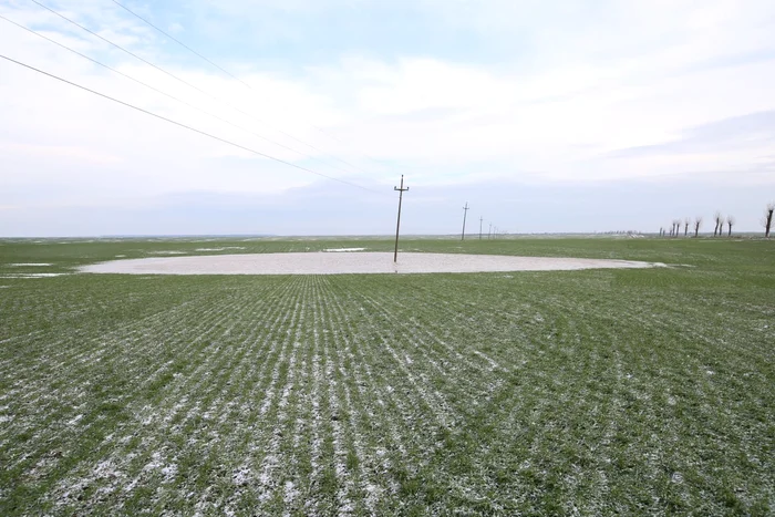 Băltirile s-au adăugat la problemele de care fermierii trag de anul trecut FOTO: Ionelia Nucă