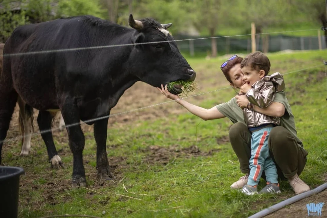 Olimpiada Compăşiunii se organizează pentru strângere de fonduri pentru păşune FOTO: Sanctuarul Nima