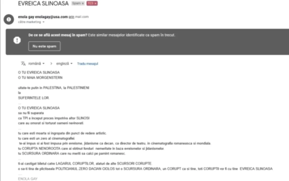 
    Maia Morgenstern, managerul Teatrului Evreiesc de Stat, a primit pe adresa de mail a instituției mesaje extrem de dure la adresa eiFoto: arhiva personală  