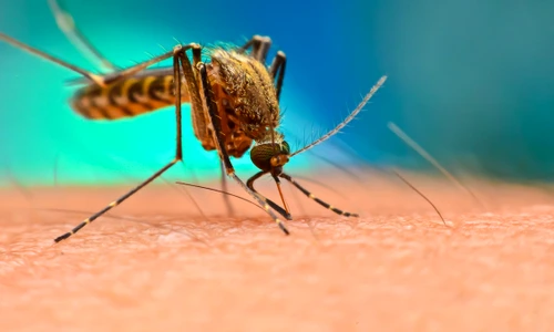 1 shutterstock 711675304 jpg jpeg