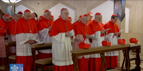 cardinali jpg