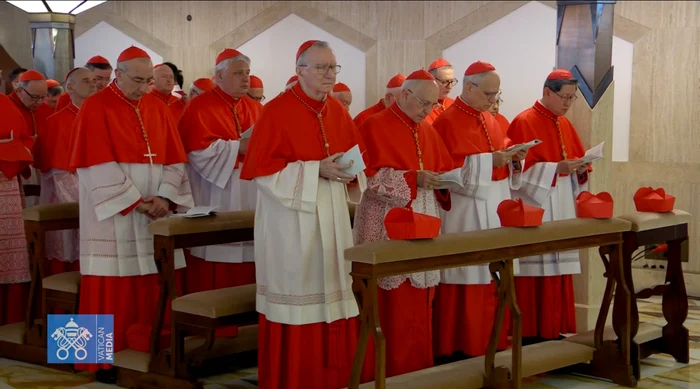 Din cei 133 de cardinali cu drept de vot reuniți în Capela Sixtină, 52 provin din Europa/FOTO:X