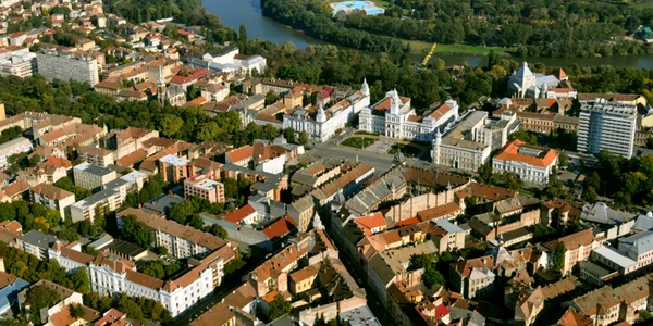 municipiu arad