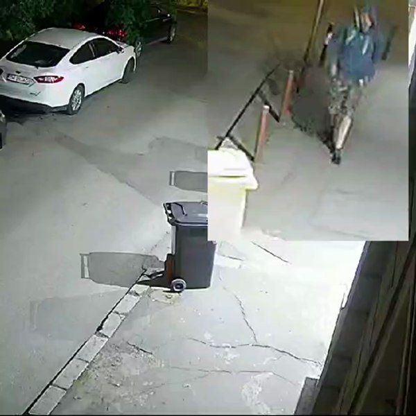 Dublul asasinat de la Timișoara. Poliția cere sprijinul populației pentru prinderea criminalului FOTO VIDEO