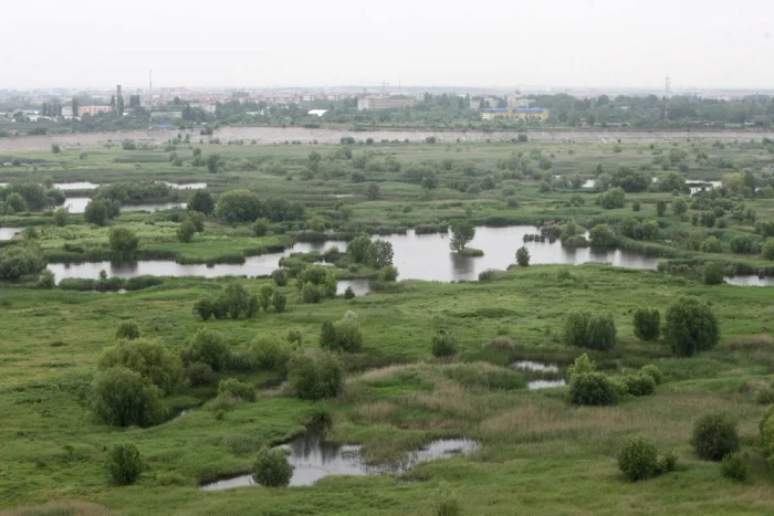 Delta Văcărești, o oază în inima Capitalei