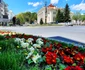 Amenajări florale pe străzile şi în parcurile din Râmnicu Vâlcea Foto Poze şi lucruri frumoase