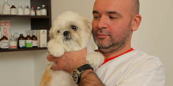 Vasile Postolache a înfiinţat singurul spital veterinar din Braşov 