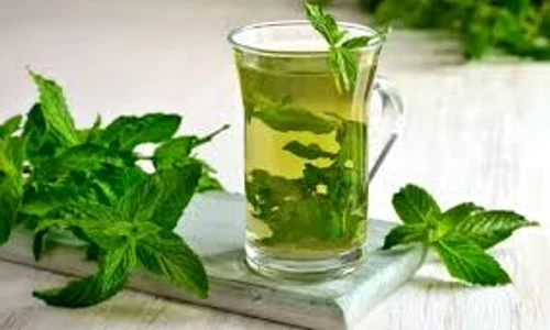 aromaterapia cu menta ne ofera numeroase beneficii images 0 jpeg