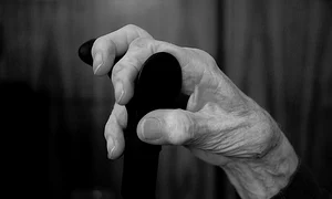 batran SURSA Pixabay