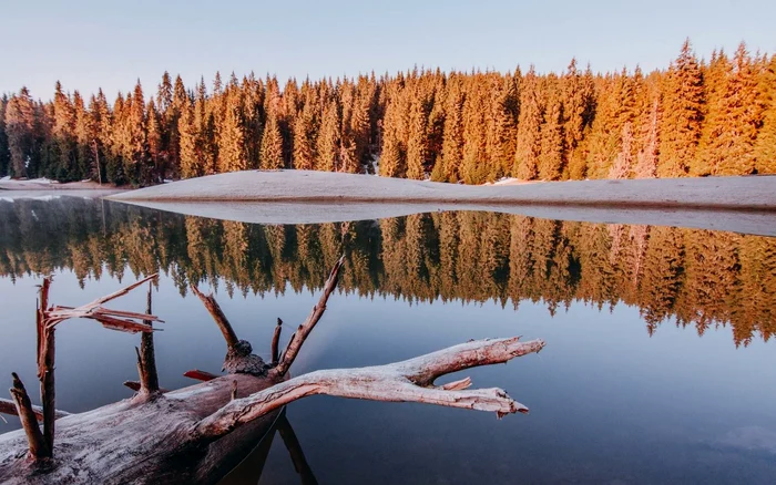 Poiana Ponor. Foto: Lucian Ignat.