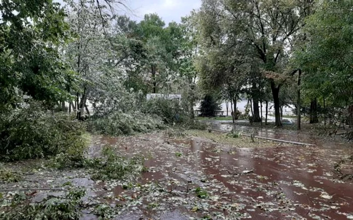 Aşa arată Parcul Central după furtună FOTO Facebook/Elena Mitache