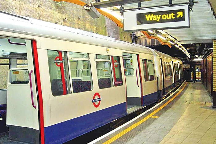 Aşa arată garnitura de tren aleasă de vulpiţa buclucaşă