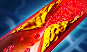 shutterstock 2690458617 jpg