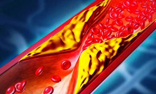 shutterstock 2690458617 jpg