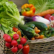 cos legume agricultura foto shutterstock