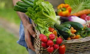 cos legume agricultura foto shutterstock