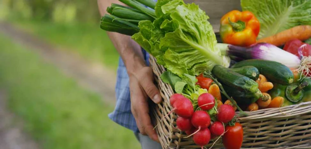 Federația AGRO-STAR 2022 atrage atenția că acordul cu Mercosur riscă să aibă consecințe negative pentru agricultura și industria alimentară