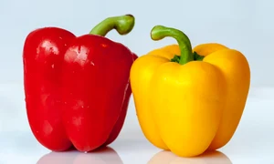 bell peppers 421087 1920 jpg