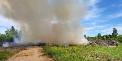 Incendiu parcul grozavesti