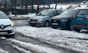 deszapezire bucuresti jpg