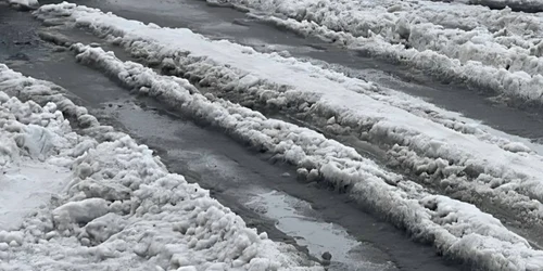 deszapezire bucuresti jpg