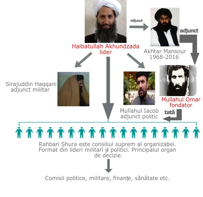 Infografie Al-Qaeda Mircea Barbu