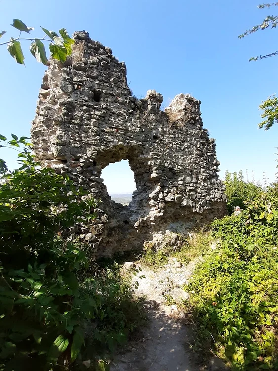 Ruinele Cetății Dezna FOTO Consiliul Județean Arad 
